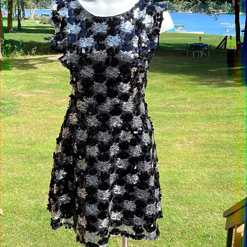 NWT loveriche sequin mini dress L